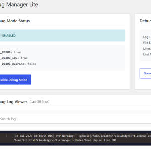 WP Debug Manager